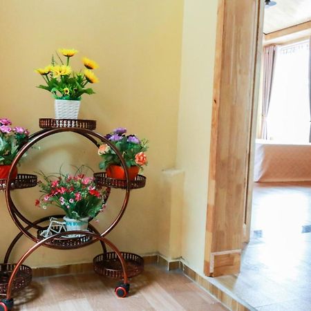 Cat Ba Vintage Homestay Cat Ba Island Eksteriør billede